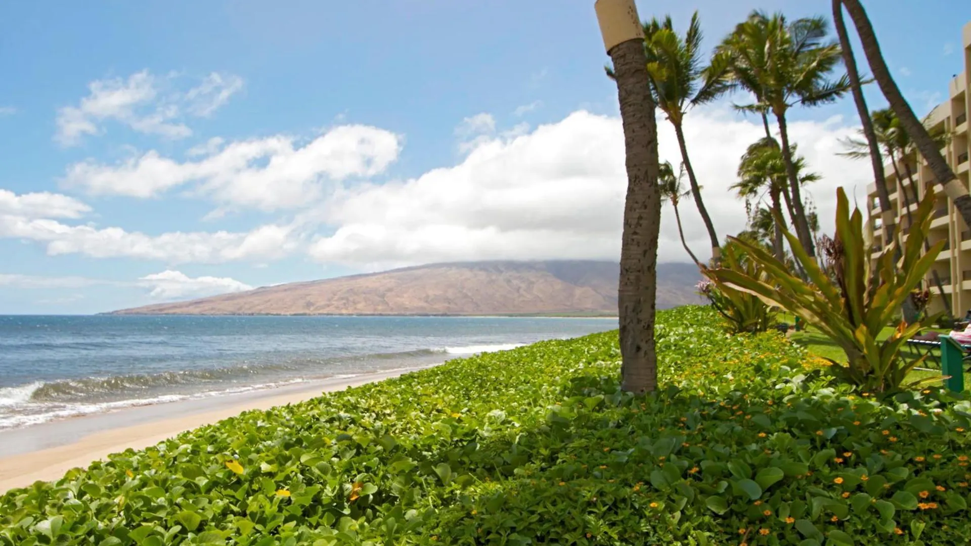 Sugar Beach 425 - Mch Kihei