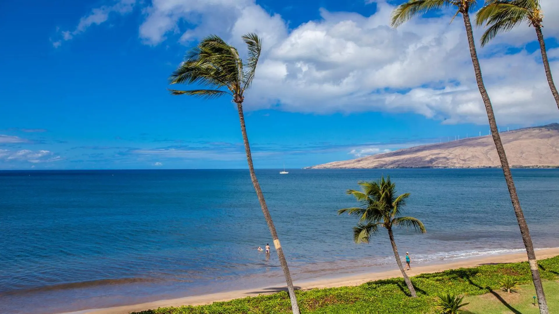 Sugar Beach 425 - Mch Kihei Holiday home