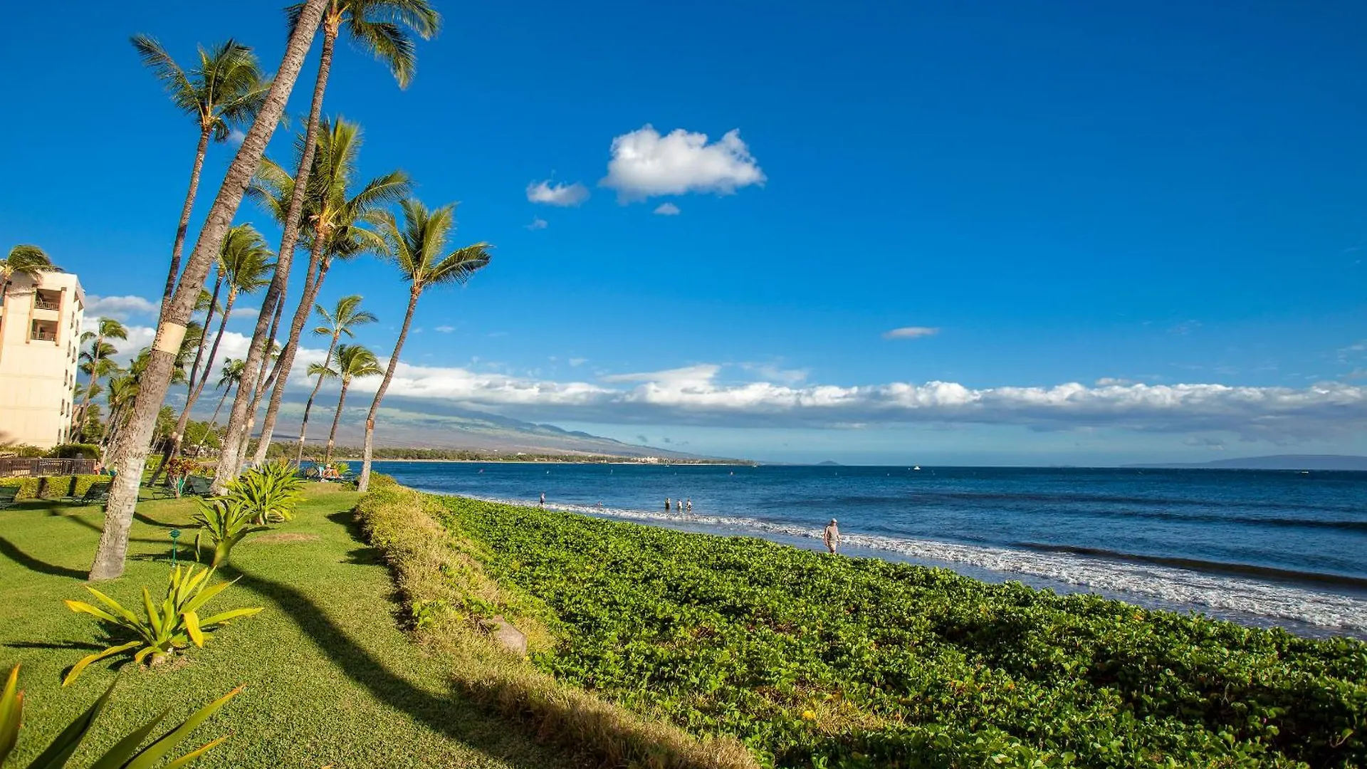 Holiday home Sugar Beach 425 - Mch Kihei United States