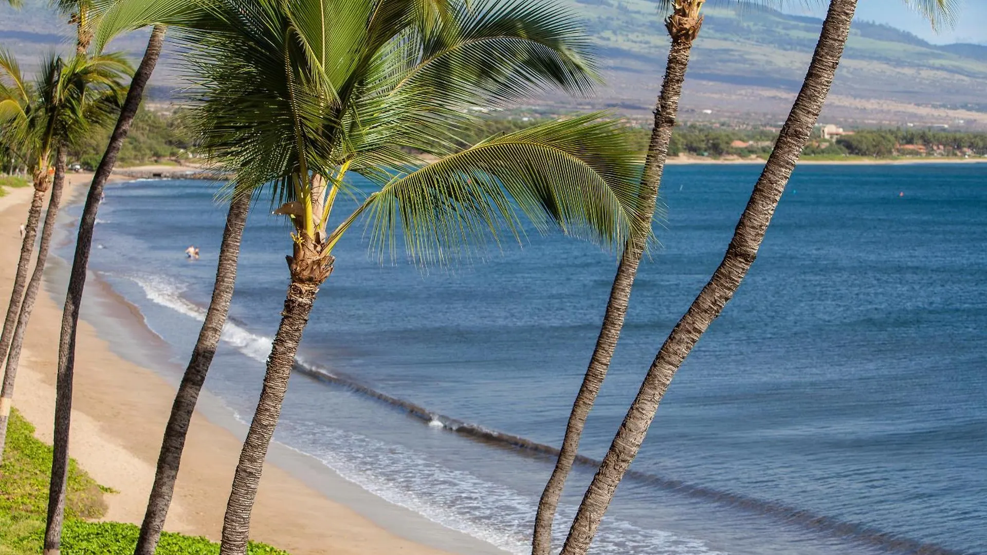 Sugar Beach 425 - Mch Kihei