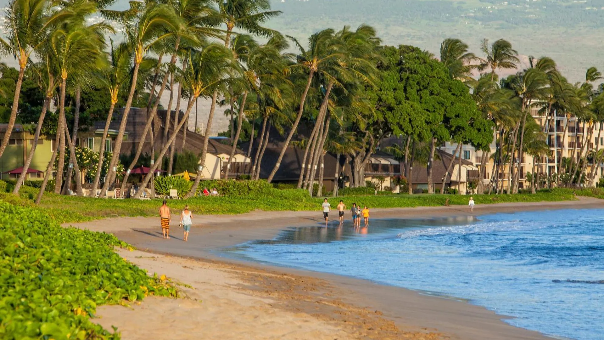 Holiday home Sugar Beach 425 - Mch Kihei