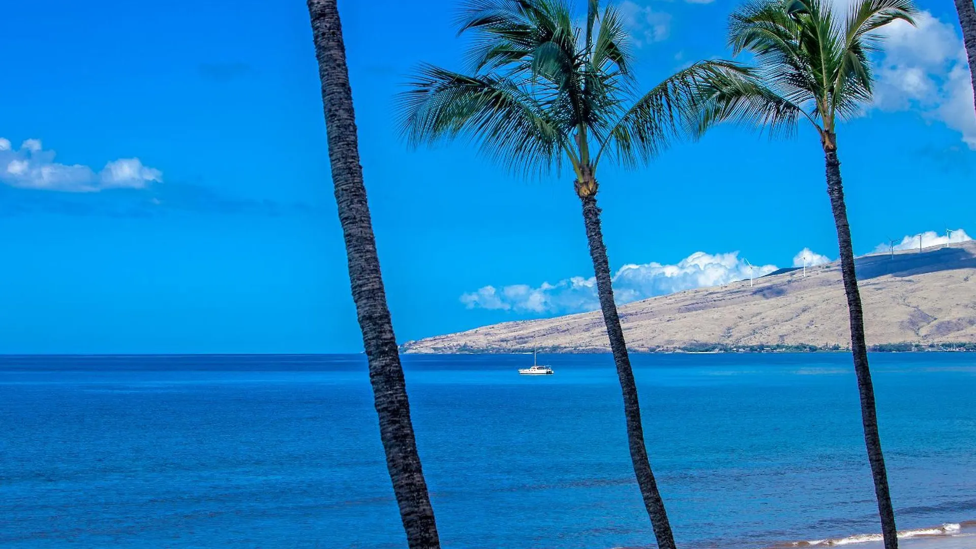 Sugar Beach 425 - Mch Kihei 0*,