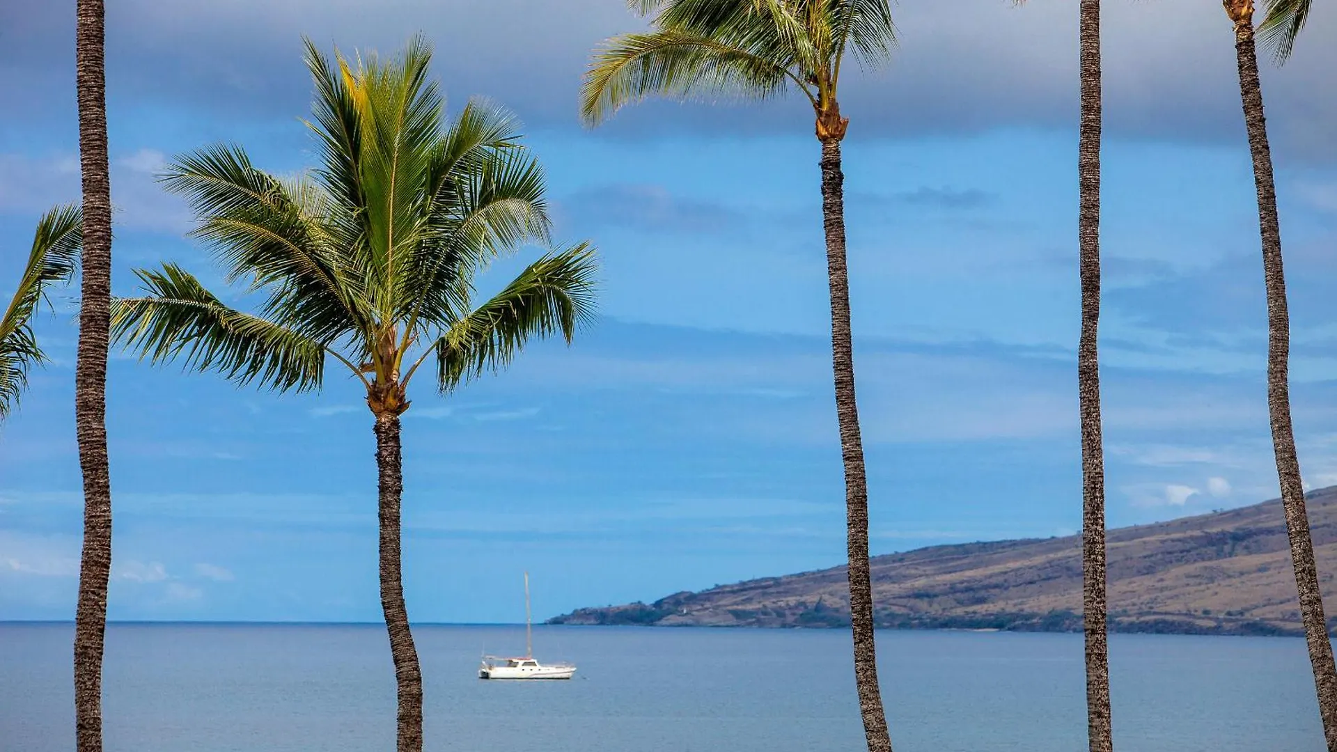 Sugar Beach 425 - Mch Kihei Holiday home