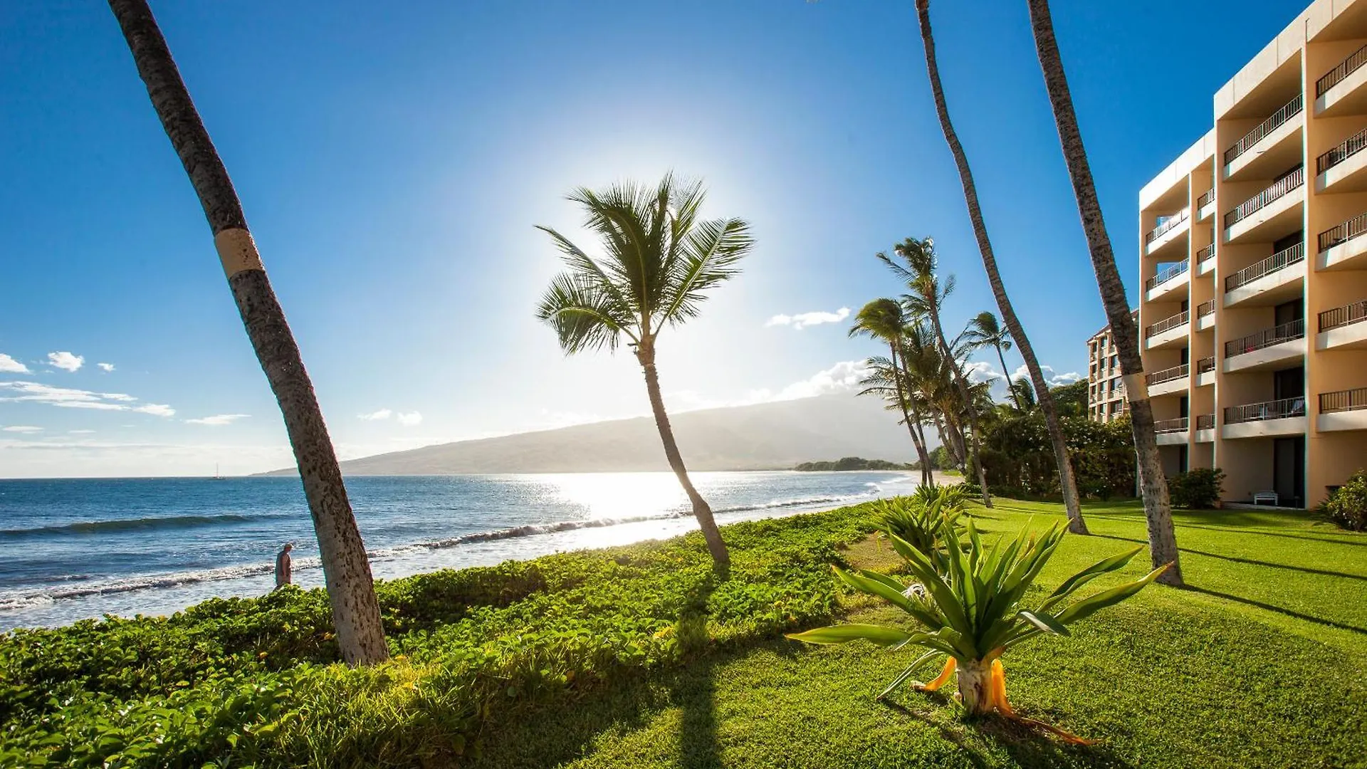 Sugar Beach 425 - Mch Kihei United States