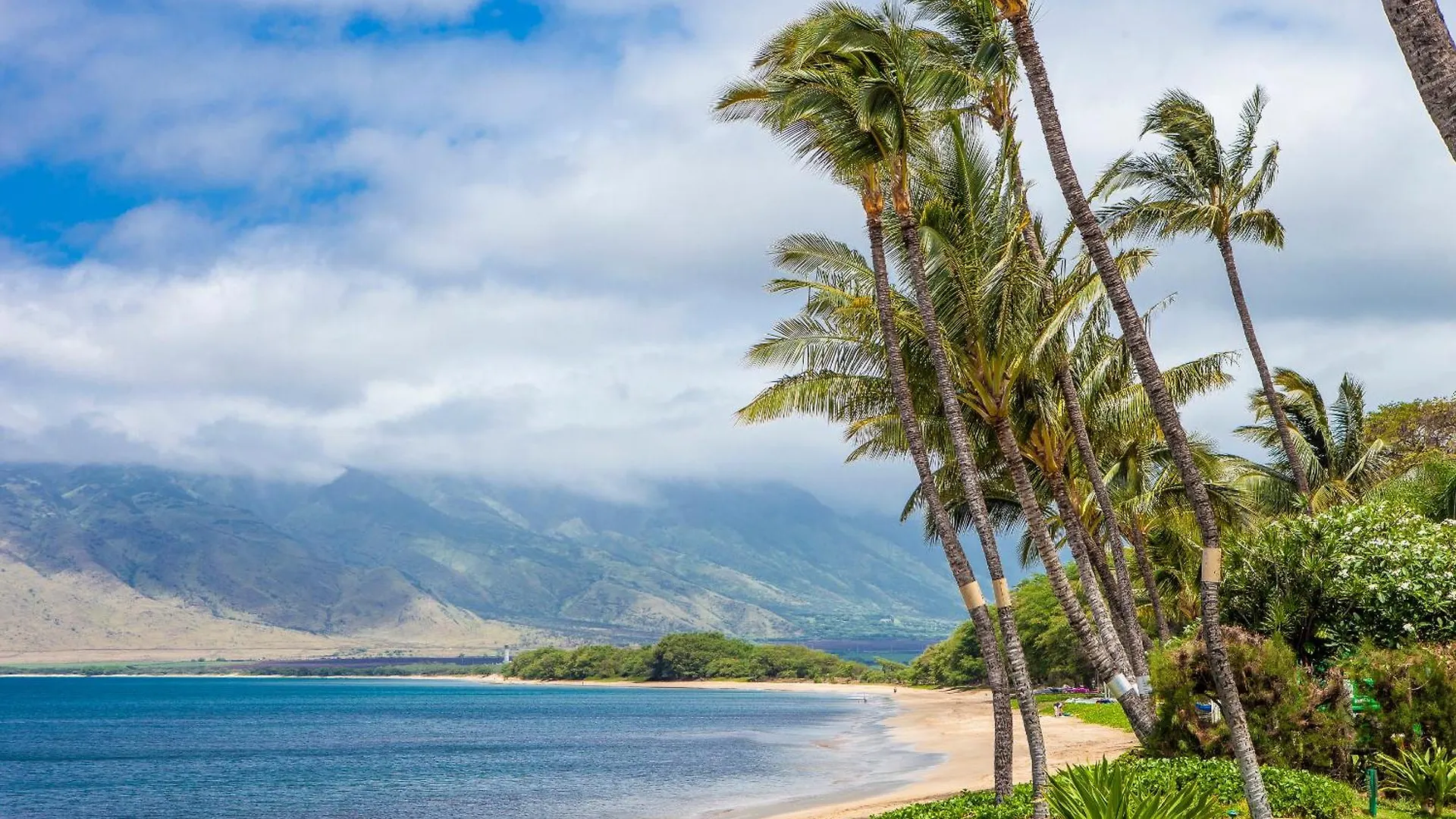 Sugar Beach 425 - Mch Kihei United States